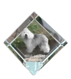 polski-owczarek-nizinny-pon-krysztalowa-kostka-ze-zdjeciem-zdjecie-koni