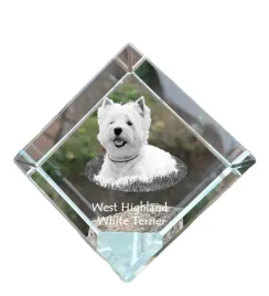 west-highland-white-terrier-westie-krysztalowa-kostka-ze-zdjeciem-zdjec