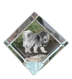 mastif-tybetanski-dog-tybetanski-krysztalowa-kostka-ze-zdjeciem-zdjecie