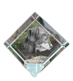 jamnik-i-krysztalowa-kostka-ze-zdjeciem-zdjecie-konia-w-krysztale-szesc