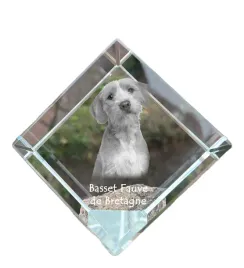 basset-bretonski-basset-fauve-de-bretagne-krysztalowa-kostka-ze-zdjeciem
