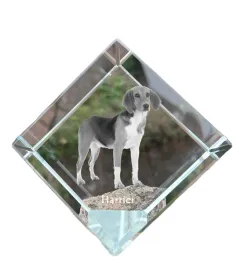 harrier-krysztalowa-kostka-ze-zdjeciem-zdjecie-konia-w-krysztale-szesci