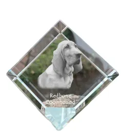 redbone-coonhound-krysztalowa-kostka-ze-zdjeciem-zdjecie-konia-w-kryszta