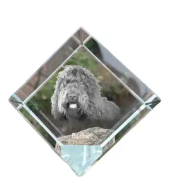 barbet-francuski-pies-dowodny-krysztalowa-kostka-ze-zdjeciem-zdjecie-ko