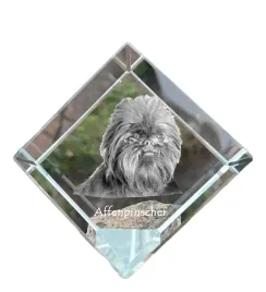 pinczer-malpi-affenpinczer-krysztalowa-kostka-ze-zdjeciem-zdjecie-konia