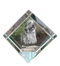 bergamasco-owczarek-z-bergamo-krysztalowa-kostka-ze-zdjeciem-zdjecie-ko