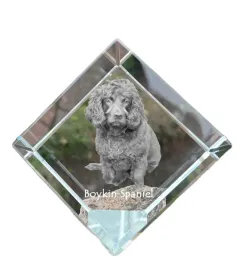 boykin-spaniel-krysztalowa-kostka-ze-zdjeciem-zdjecie-konia-w-krysztale