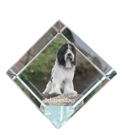 schapendoes-owczarek-holenderski-krysztalowa-kostka-ze-zdjeciem-zdjecie