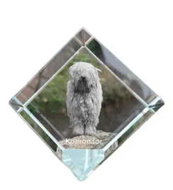 komondor-krysztalowa-kostka-ze-zdjeciem-zdjecie-konia-w-krysztale-szesc
