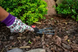 fiber-pazurki-30cm-na-dzialke-proline-40062