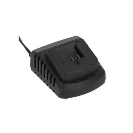 ladowarka-1h-li-ion-20v-tryton-tj1ld