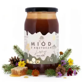 miod-lesny-nektarowo-spadziowy-1-kg-spadz-lisciasta-miody-z-roztocza
