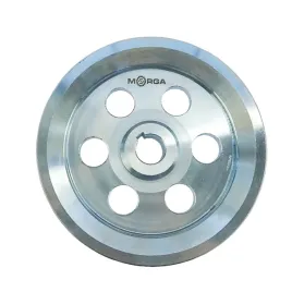 kolo-pasowe-2-paski-2-spb-2-hb-fi-200-otwor-25mm-stalowe-morga