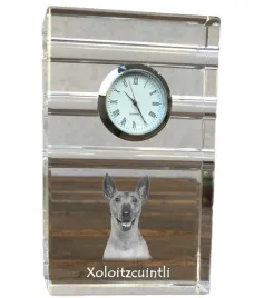 nagi-pies-meksykanski-bezwlosy-pies-aztekow-xoloitzquintle-szklany-zega