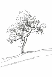 plakat-675x100cm-drzewo-w-zarysie