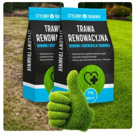 trawa-nasiona-renowacyjna-do-regeneracji-trawnika-nasiona-trawy-10kg