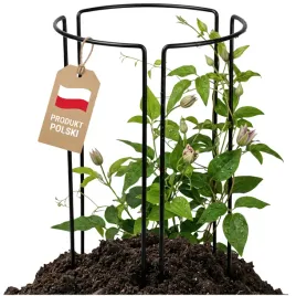 podpora-do-kwiatow-roslin-45-cm-metalowa-ocynk-3-czesciowa-drut-produkt-pl
