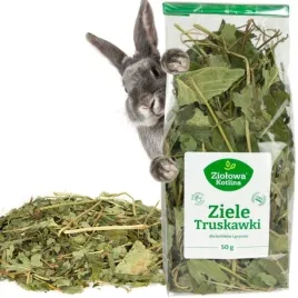 ziolowa-kotlina-ziele-truskawki-przysmak-smakolyk-dla-gryzoni-50g