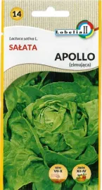 salata-glowiasta-zimujaca-apollo-1g-l