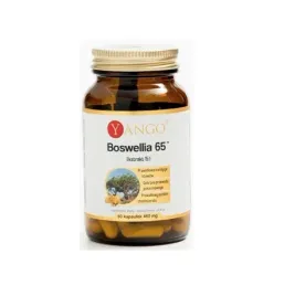 yango-boswellia-65-60-kaps