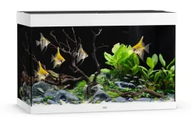 juwel-akwarium-rio-290-led-biale