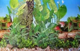akwarium-proste-25l-41x25x25cm-4mm-float-rodzaj-szkla-float
