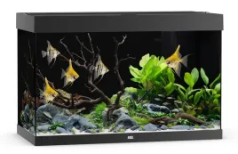 juwel-akwarium-rio-290-led-czarne