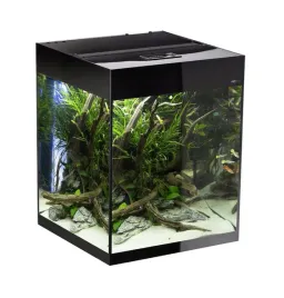 aquael-akwarium-glossy-cube-50-dandn-czarne