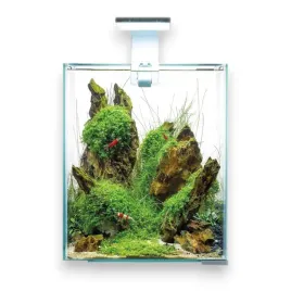aquael-shrimp-set-30-bialy-dayandnight-29x29x35-akwarium-krewetkarium-zestaw