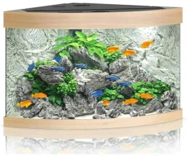 juwel-trigon-190l-akwarium-narozne-jasne-drewno