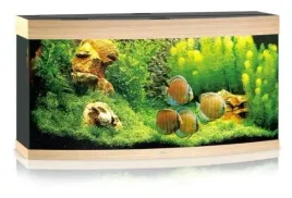 juwel-vision-260l-121x46x64-akwarium-jasne-drewno