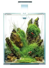 aquael-shrimp-set-20-bialy-dayandnight-25x25x30