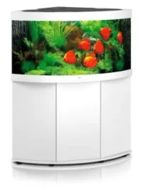 juwel-trigon-350l-zestaw-z-szafka-narozny-bialy