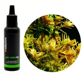 yokuchi-gen-nano-bg-nawoz-mikroelementowy-30ml