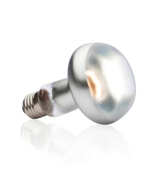 exo-terra-intense-basking-spot-zarowka-100w-stan-nowy-marka-exo-terra