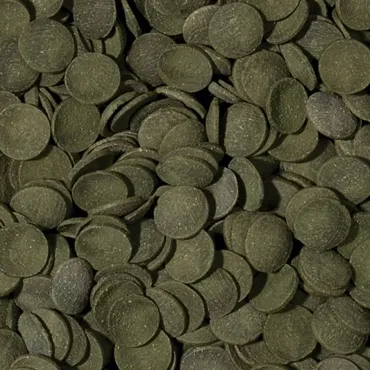 tropical-green-algae-wafers-1000ml-dla-glonojadow-marka-tropical