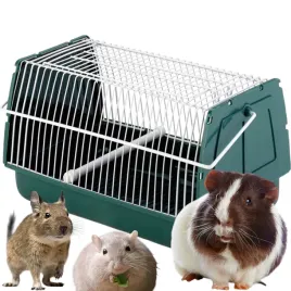 kerbl-transporter-dla-gryzoni-szczurkow-koszatniczek-myszy-zielony-21x15x14