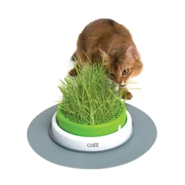 catit-senses-2-0-zestaw-do-hodowli-trawy-dla-kota