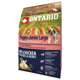 ontario-karma-dla-mlodych-duzych-psow-golden-bernardyn-kurczak-225kg