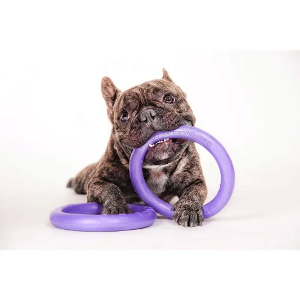 collar-puller-mini-18cm-ring-do-cwiczen-dla-psow-nazwa-handlowa-mini
