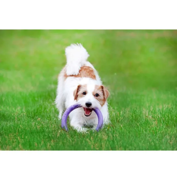 collar-puller-mini-18cm-ring-do-cwiczen-dla-psow-stan-nowy-kod-producenta-6491