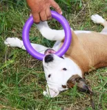 collar-puller-micro-125-ring-do-cwiczen-dla-psow-marka-puller-kod-producenta-6489