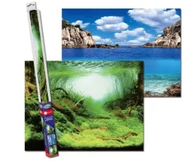 tlo-do-akwarium-fototapeta-plants-ocean-l-100x50