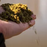 zaneta-method-feeder-baitnow-800g-ofish-green-kod-producenta-bnz0004