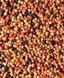 pellet-feeder-bait-method-pellet-prestige-spice-2mm-800g-waga-0-8-kg