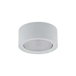 flea-white-8202-nowodvorski