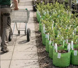 doniczki-materialowe-do-drzew-krzewow-i-borowek-40x30cm-38l-zielony