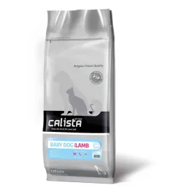 calista-baby-dog-lamb-12-kg-owczarek-niemiecki-lambrador-border-collie