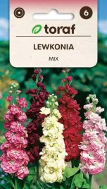 lewkonia-letnia-mix-05g-t