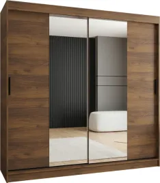 szafa-przesuwna-z-lustrem-garderoba-rubino-t1-200-cm